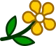 Flower Flower