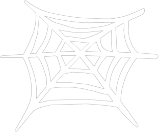 Spider Web