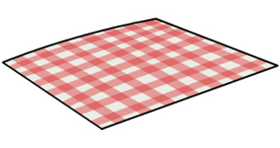 Picnic Blanket