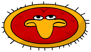 Todd Rug