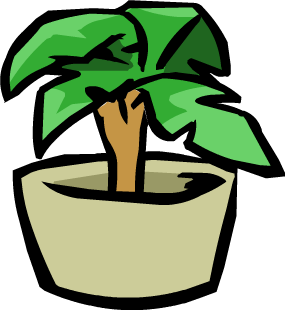 Small House Plant