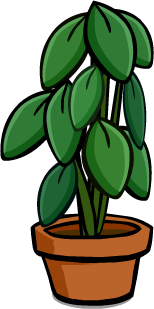 Large House Plant