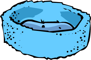 Blue Bed