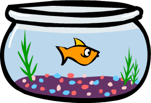 Fish Bowl