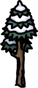 Tall Snowy Tree