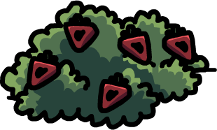 O'berry Bush