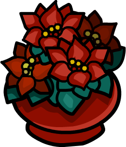 Potted Poinsettia