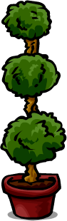 Poodle Plant