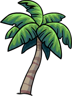 Tropical Palm
