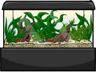Large Aquarium