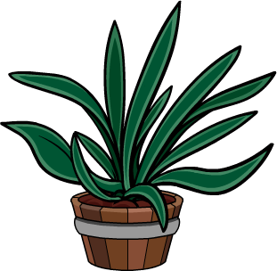 Spikey Plant