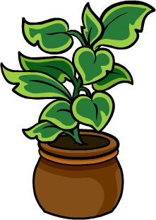 Potted Palm