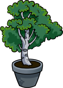 Potted Tree