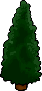 Hedge Tree