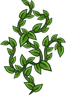 Vines
