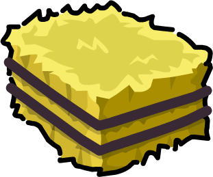Hay