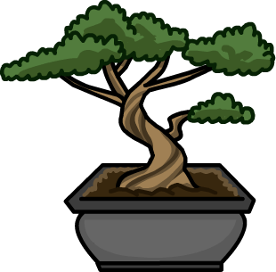 Bonsai Tree