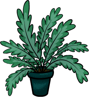 Fern