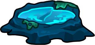 Tidal Pools