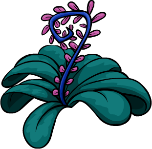 Jungle Bloom