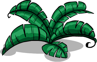 Jungle Fern