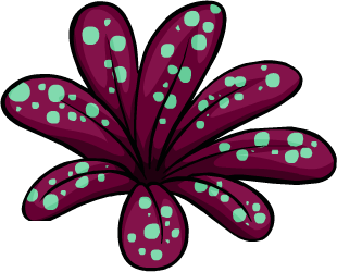 Jungle Flora