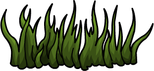Tall Grass