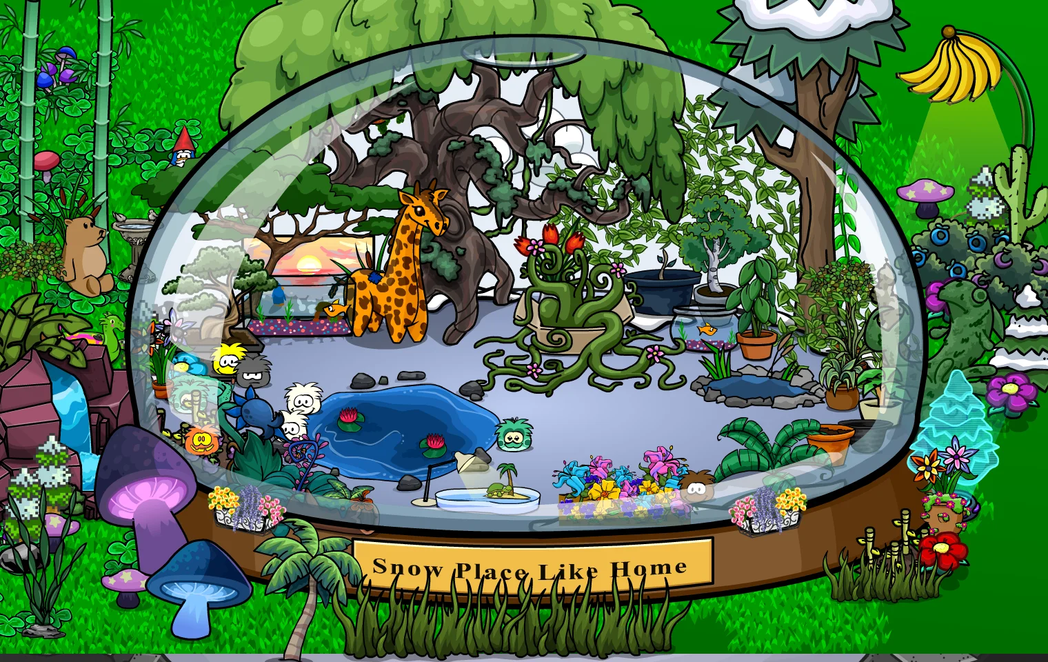 Igloo snapshot